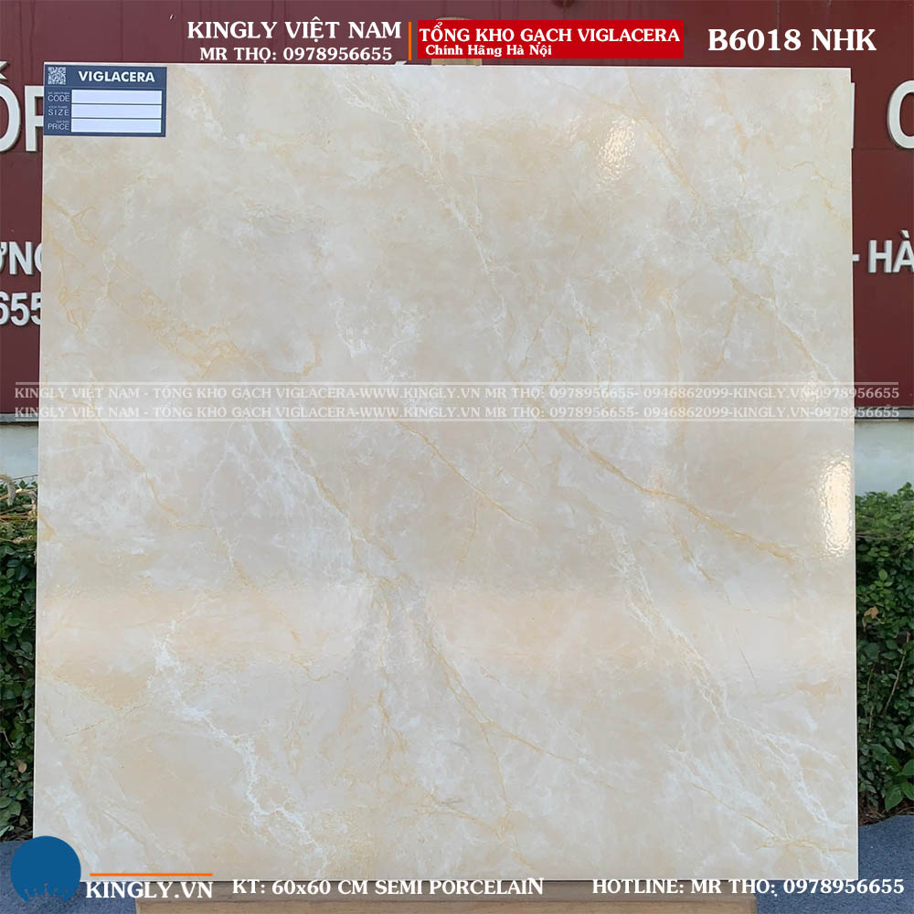 Gạch Viglacera 600x600 B6018 Loại A1